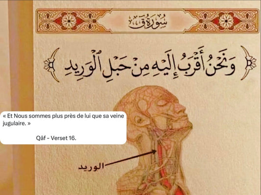 La quête de la science